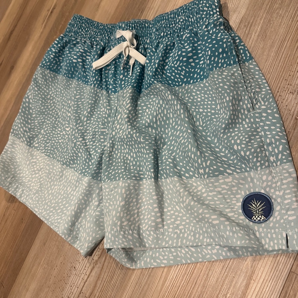 Chubbies Men’s Swim Shorts